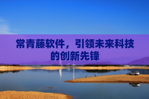 常青藤软件，引领未来科技的创新先锋